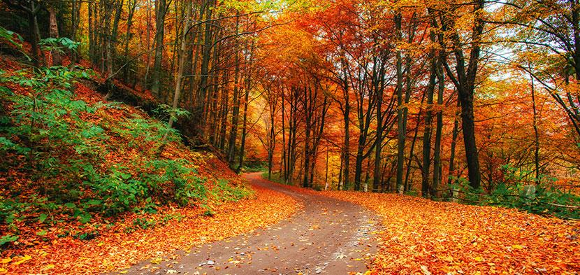 autumn places to visit inner